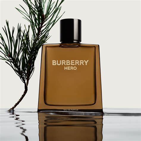 burberry parfum herren bewertung|where to buy Burberry her.